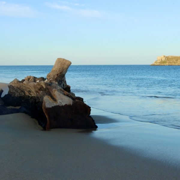 AFF5FC61-EF9A-4C70-9722-E88805285027_1_105_c